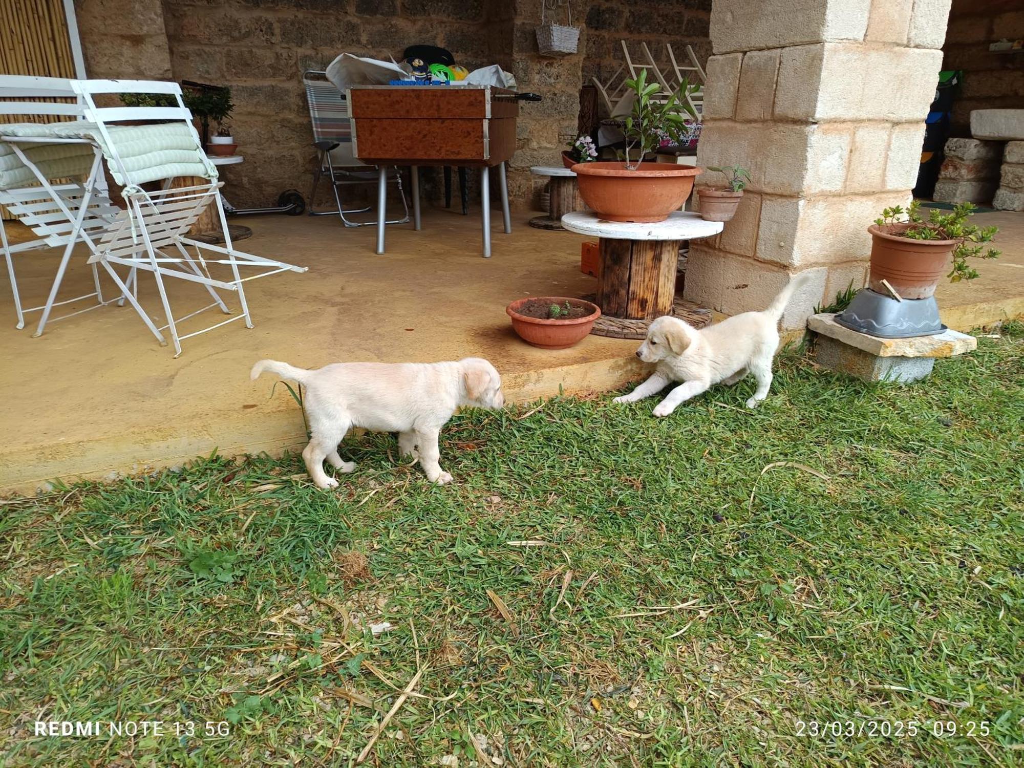 דירות Neviano La Sita מראה חיצוני תמונה
